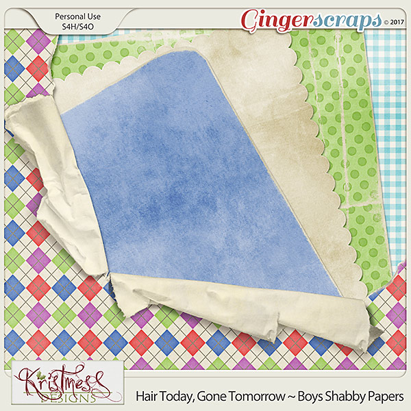 Hair Today, Gone Tomorrow ~ Boys Shabby Papers