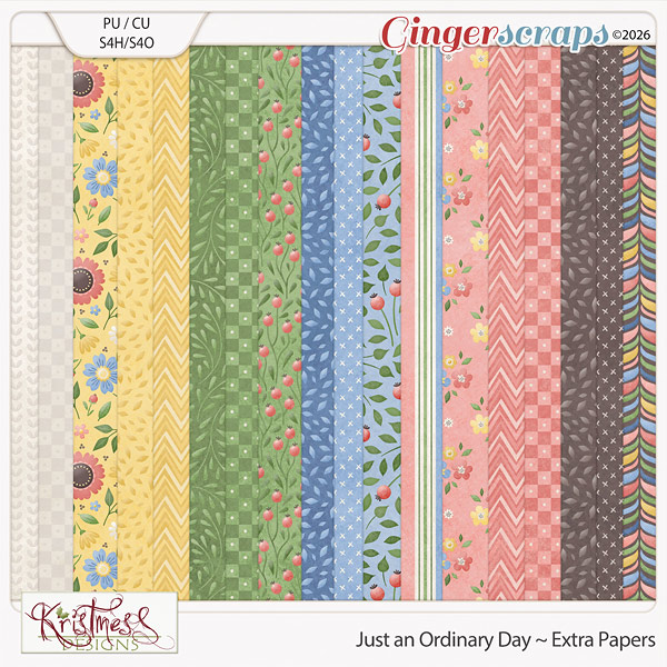 Just an Ordinary Day Extra Papers