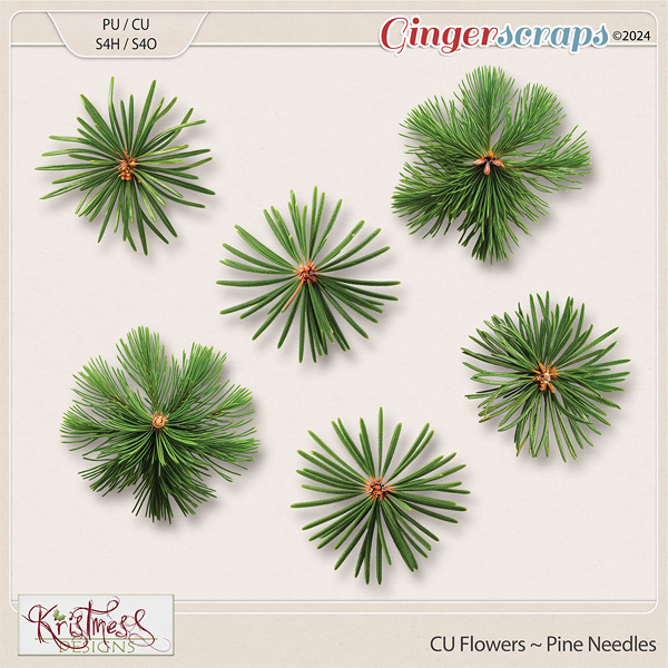 CU Flowers ~ Pine Needles