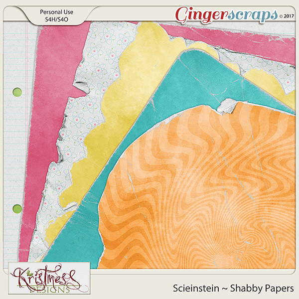 Scieinstein Shabby Papers