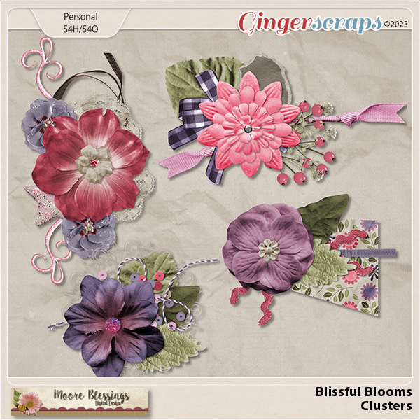 Blissful Blooms Cluster Pack by Moore Blessings Digital Design 