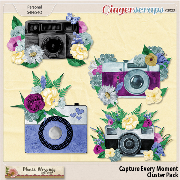 Capture Every Moment Clusters by Moore Blessings Digital Design 