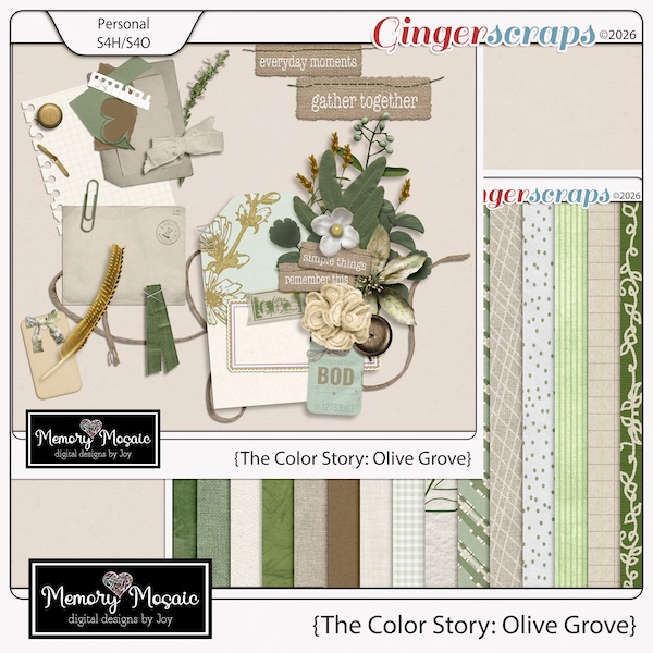 The Color Story: Olive Grove by Memory Mosaic