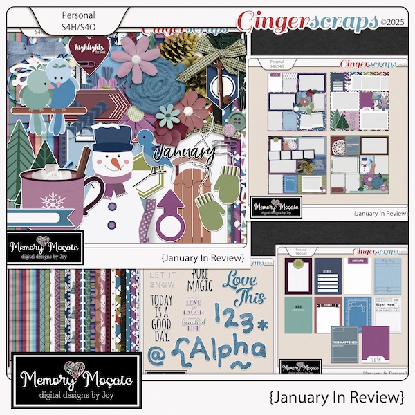 January In Review by Memory Mosaic