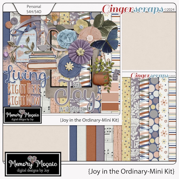 Joy in the Ordinary by Memory Mosaic