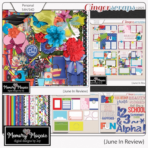 June In Review by Memory Mosaic