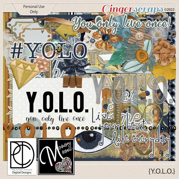 Y.O.L.O. by Memory Mosaic and Polka Dot Chicks