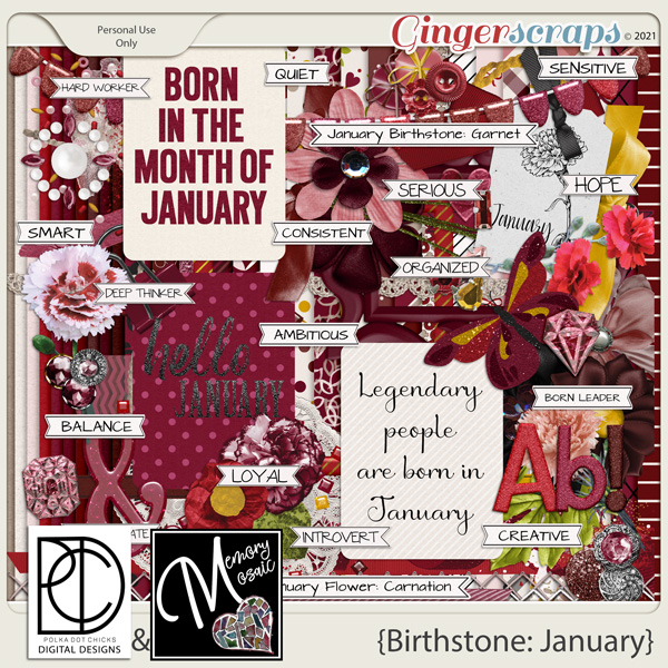 Birthstone: January by Memory Mosaic and Polka Dot Chicks