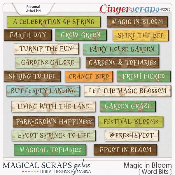 Magic in Bloom (word bits)