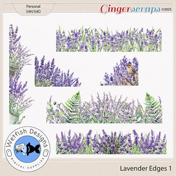 Lavender Edges 1 by Wetfish Designs