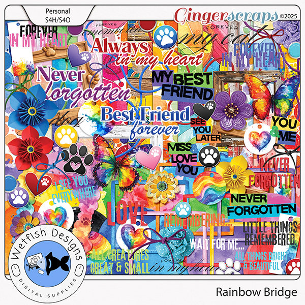 Rainbow Bridge by Wetfish Designs