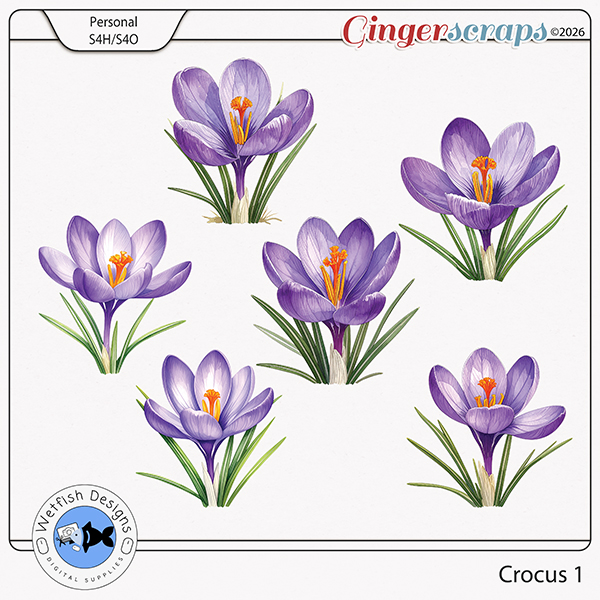 Crocus 1 by Wetfish Designs