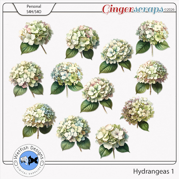 Hydrangeas Set 1 by Wetfish Designs