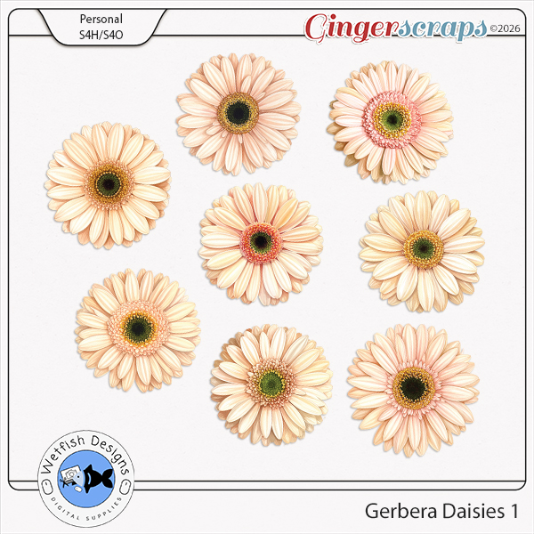 Gerbera Daisies 1 by Wetfish Designs