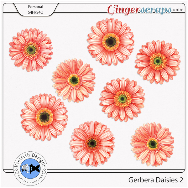 Gerbera Daisies 2 by Wetfish Designs 