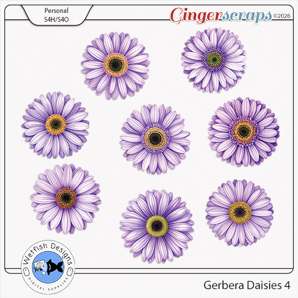 Gerbera Daisies 4 by Wetfish Designs 