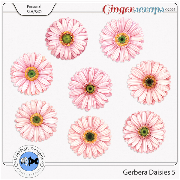 Gerbera Daisies 5 by Wetfish Designs 