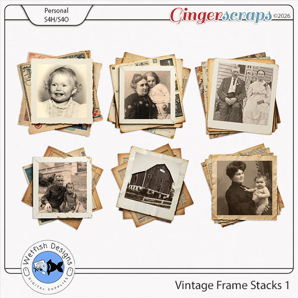 Vintage Frame Stacks 1 by Wetfish Designs