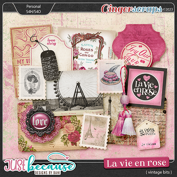 La Vie En Rose Vintage Bits by JB Studio