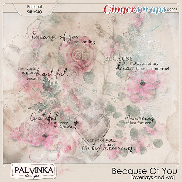 Because Of You Overlays and WA by Palvinka Designs
