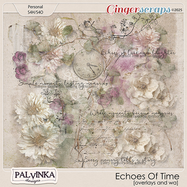 Echoes Of Time Overlays and WA by Palvinka Designs