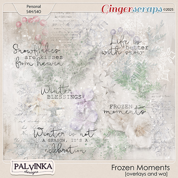 Frozen Moments Overlays and WA by Palvinka Designs