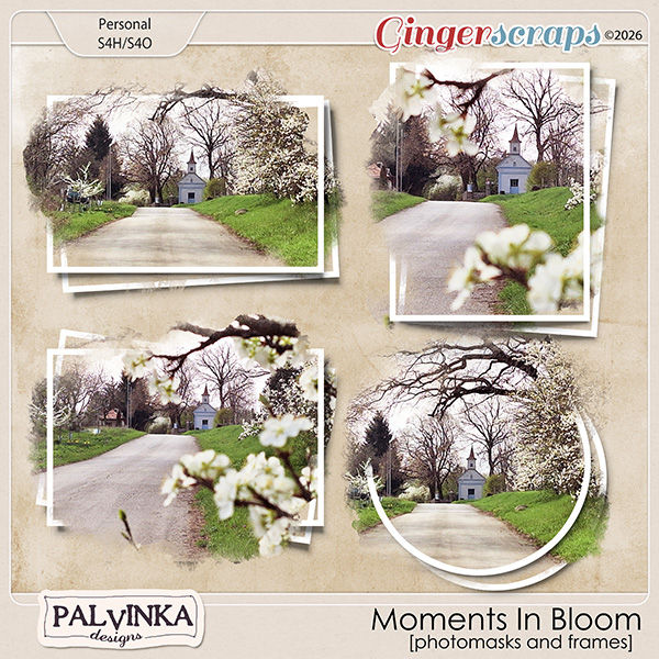 Moments In Bloom Photomasks and Frames by Palvinka Designs