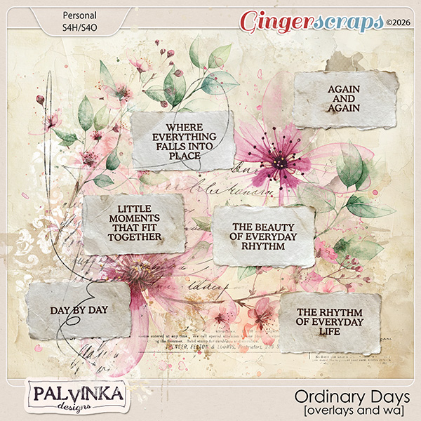 Ordinary Days Overlays and WA by Palvinka Designs