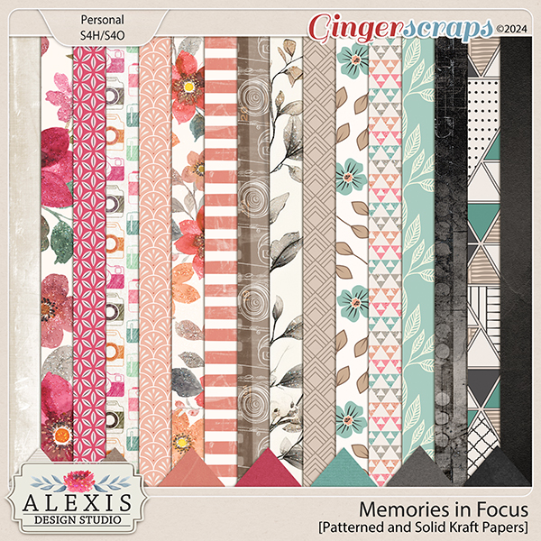 Memories in Focus - Papers