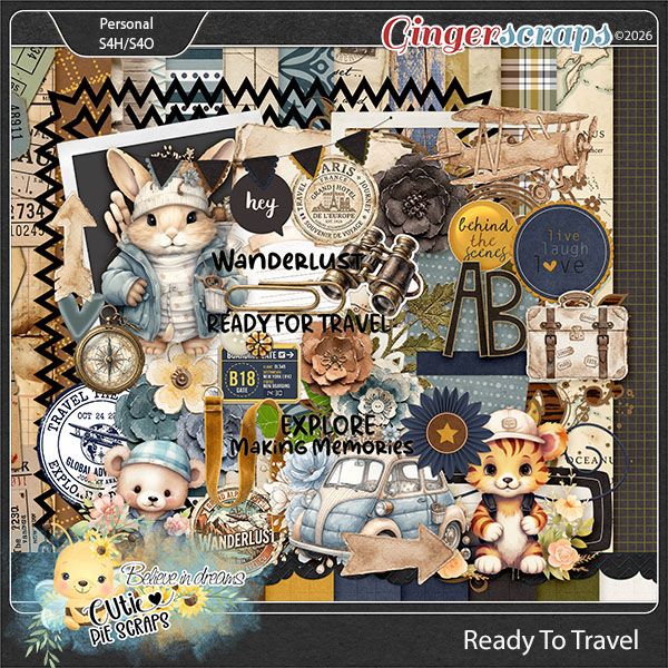 Ready To Travel Combo Pack