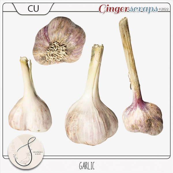 CU Garlic Elements 01