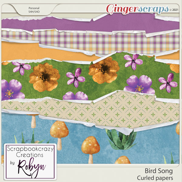 Bird Song Curled Papers by Scrapbookcrazy Creations