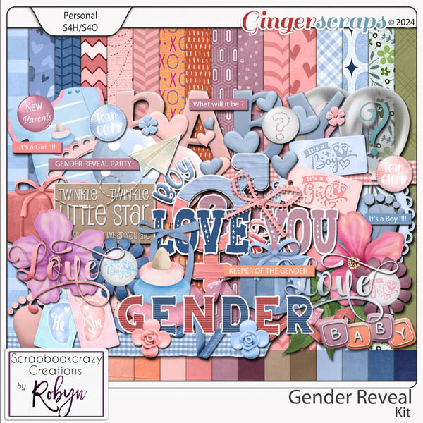 Gender Reveal Kit by Scrapbookcrazy Creations