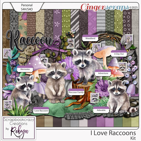 I Love Raccoons Kit by Scrapbookcrazy Creations