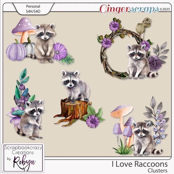 I Love Raccoons Clusters by Scrapbookcrazy Creations