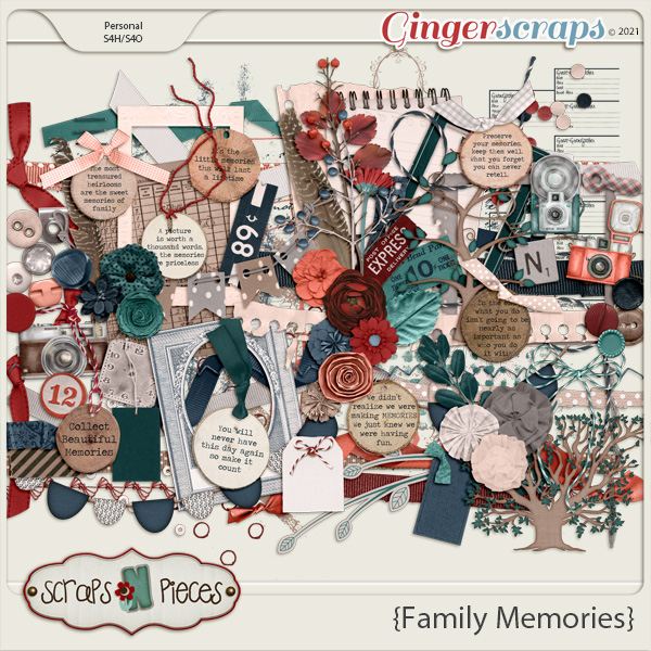 Family Memories Embellishments - Scraps N Pieces 