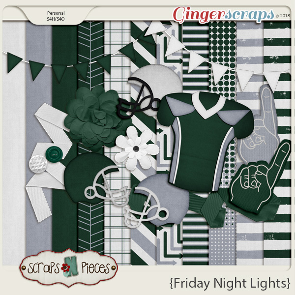Friday Night Lights Mini 12