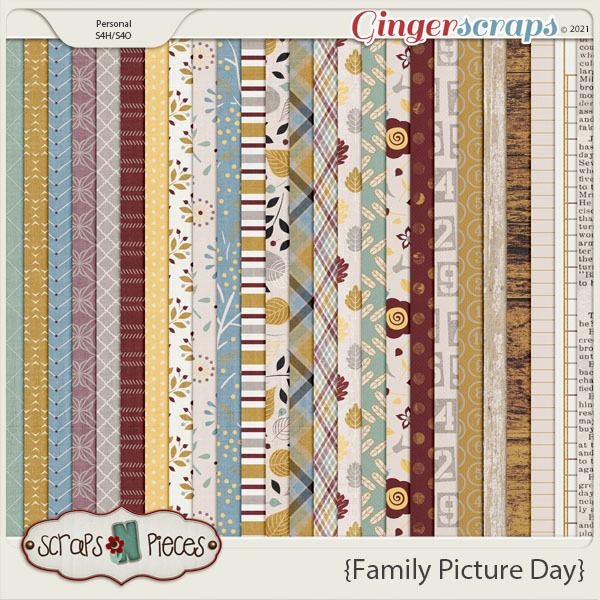 Family Picture Day Pattern Papers - Scraps N Pieces 