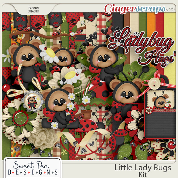 Little Ladybugs Kit