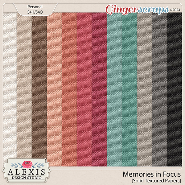 Memories in Focus - Solid Canvas Papers