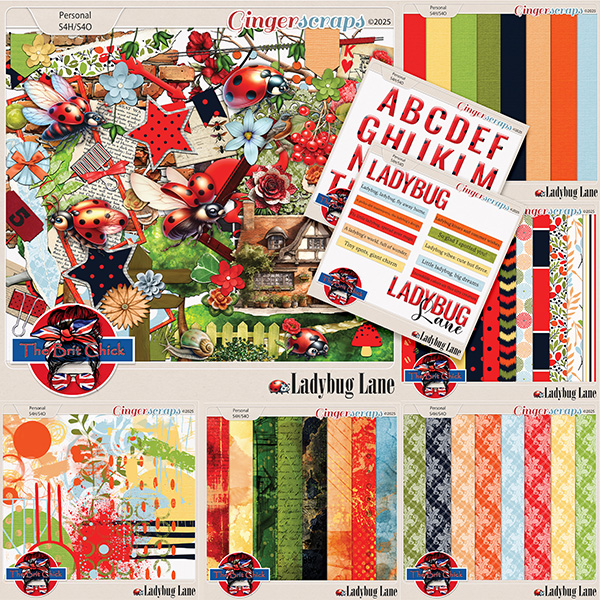 Ladybug Lane Bundle By The Brit Chick