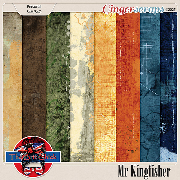Mr Kingfisher Artsy Papers By The Brit Chick