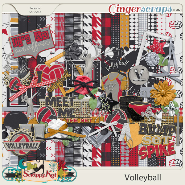 TSK_Volleyball_Full%20Preview_2021.jpg