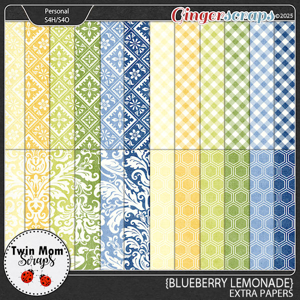 Blueberry Lemonade - EXTRA PAPERS by Twin Mom Scraps