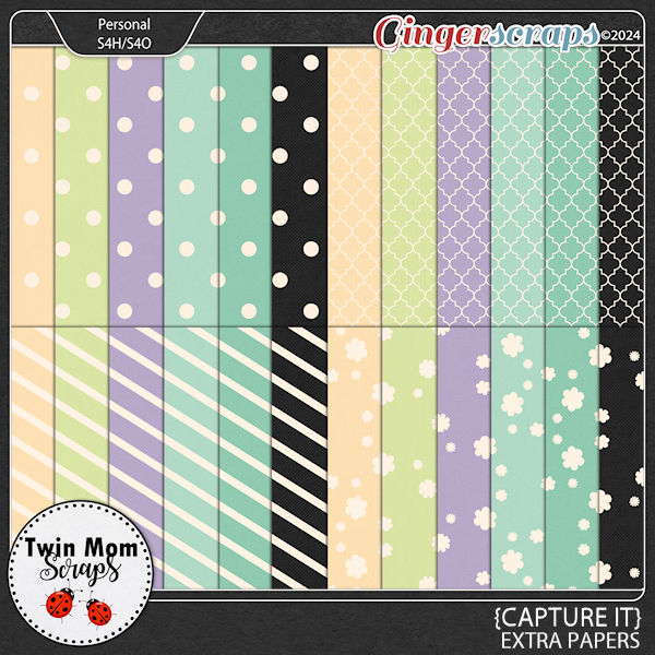 Capture It - EXTRA PAPERS by Twin Mom Scraps
