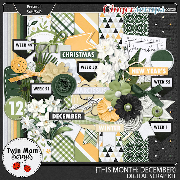 This Month: December - KIT by Twin Mom Scraps