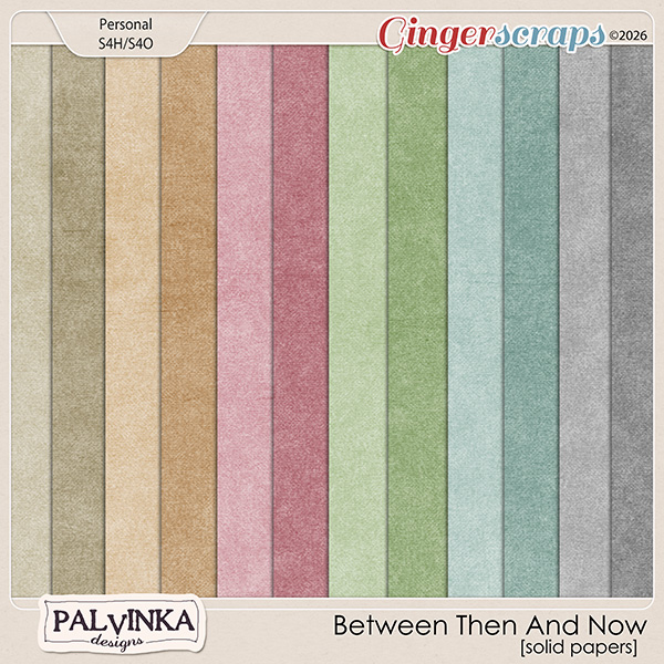 Between Then And Now Solid Papers by Palvinka Designs