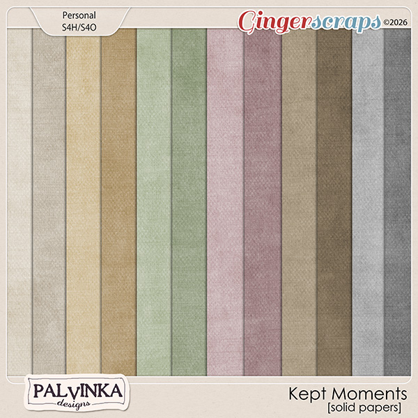 Kept Moments Solid Papers by Palvinka Designs