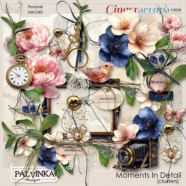 Moments In Detail Clusters by Palvinka Designs