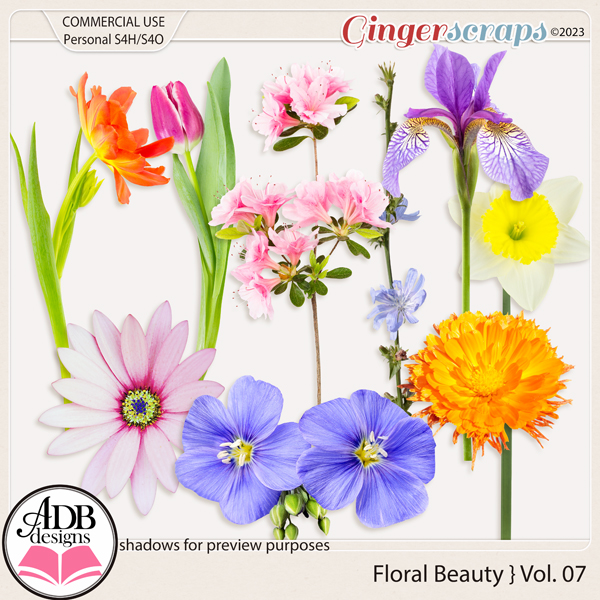 Floral Beauty Vol. 07 CU/PU by ADB Designs